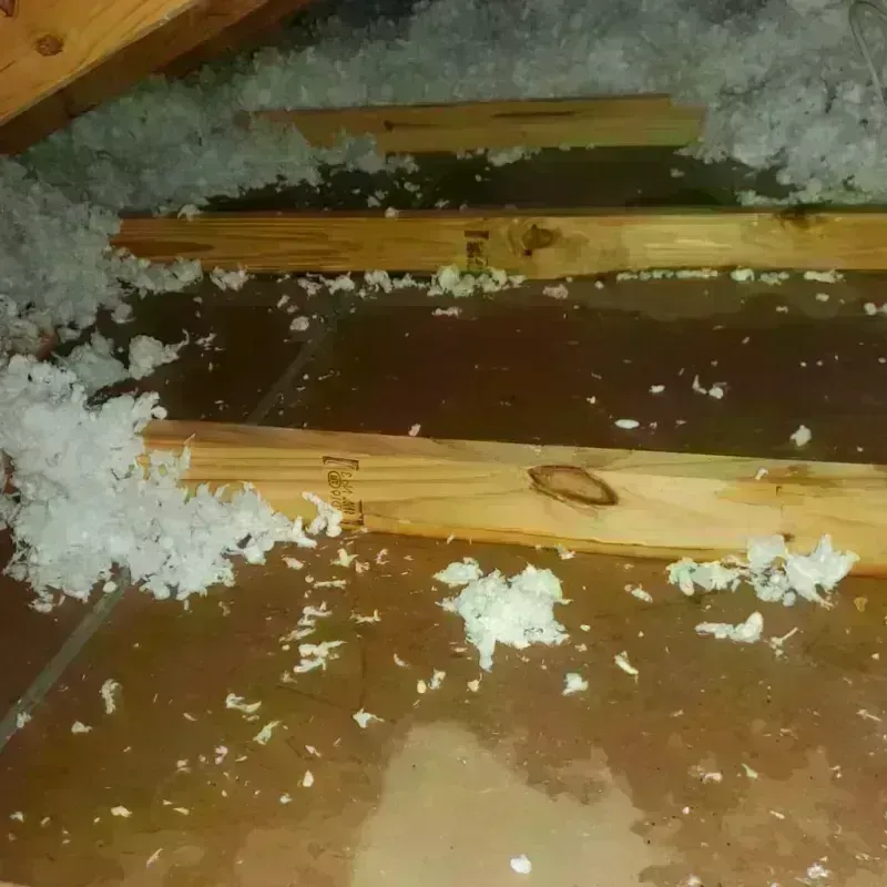 Attic Water Damage in Masury, OH