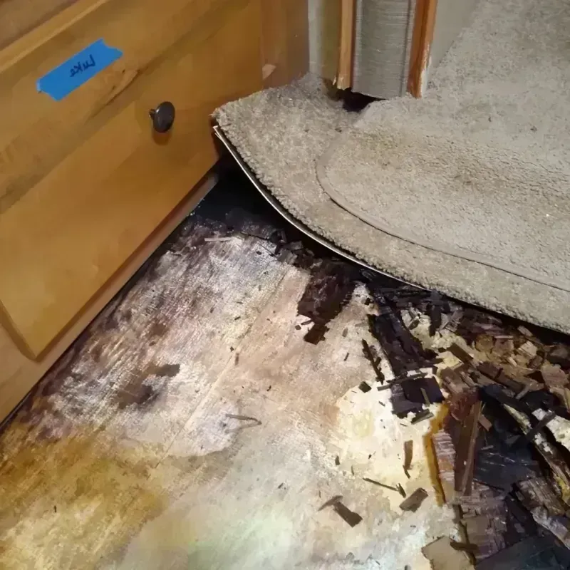 Best Wood Floor Water Damage Service in Masury, OH